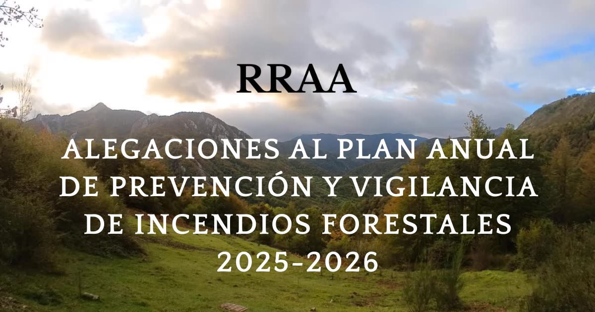 Objeciones de la Red al Plan de incendios forestales